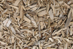 biomass boilers Bearstone