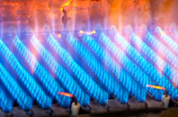 Bearstone gas fired boilers